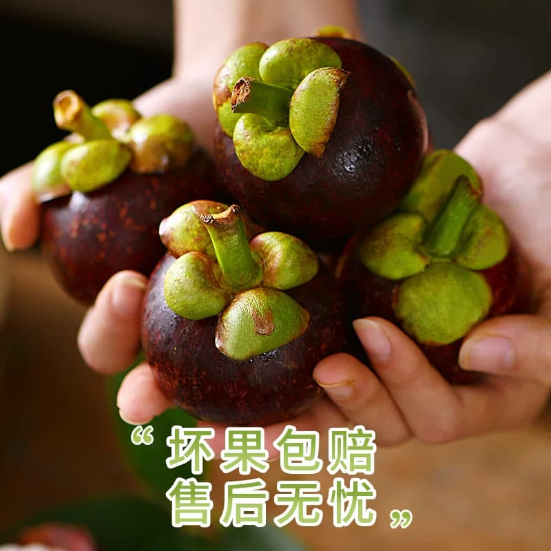 泰国新鲜山竹大果水果当季整箱5斤进口特级油麻竹6a现货顺丰包邮 - 缩略图5