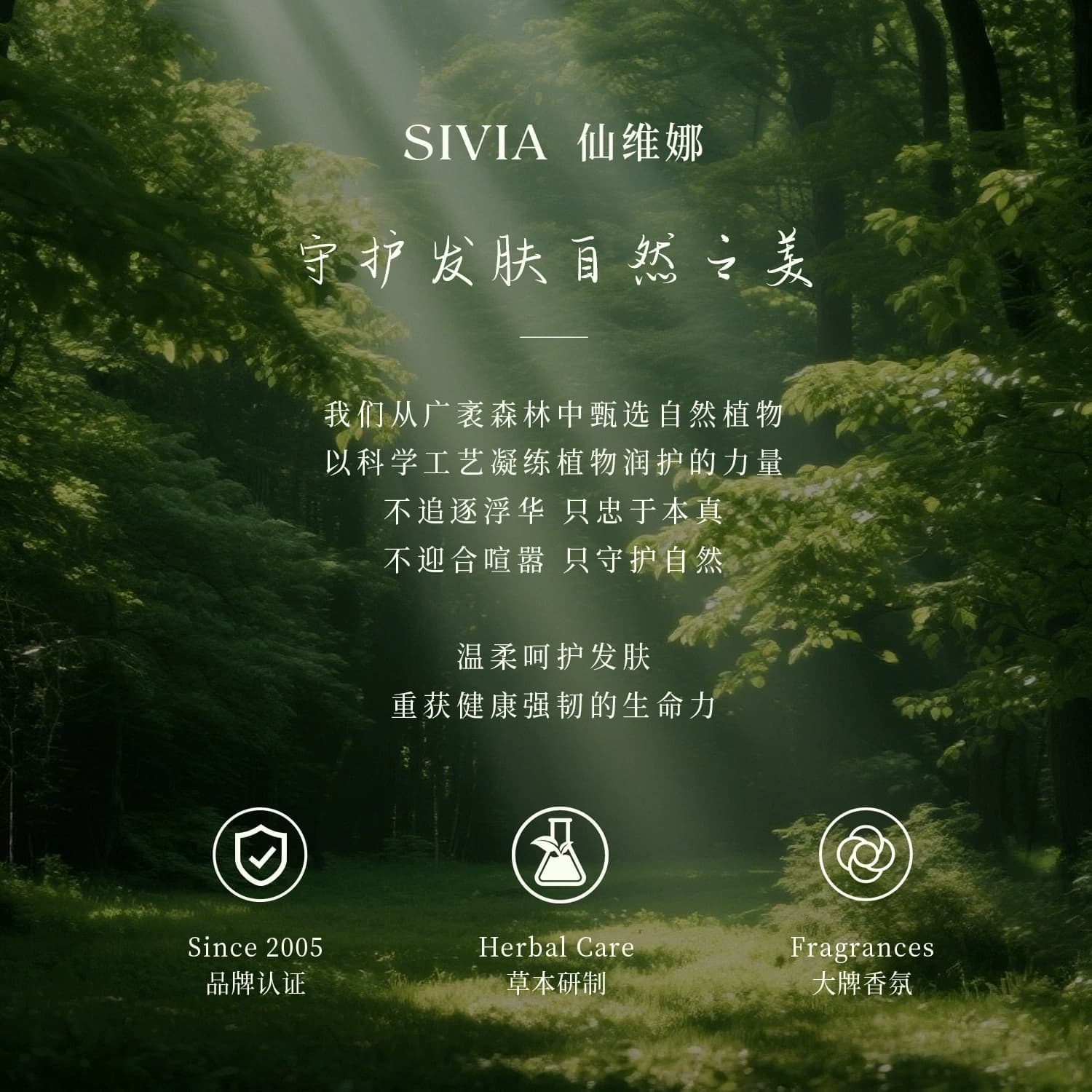 仙维娜橄榄去屑柔顺洗发水持久留香清爽控油洗发露洗头膏男女正品 - 缩略图5