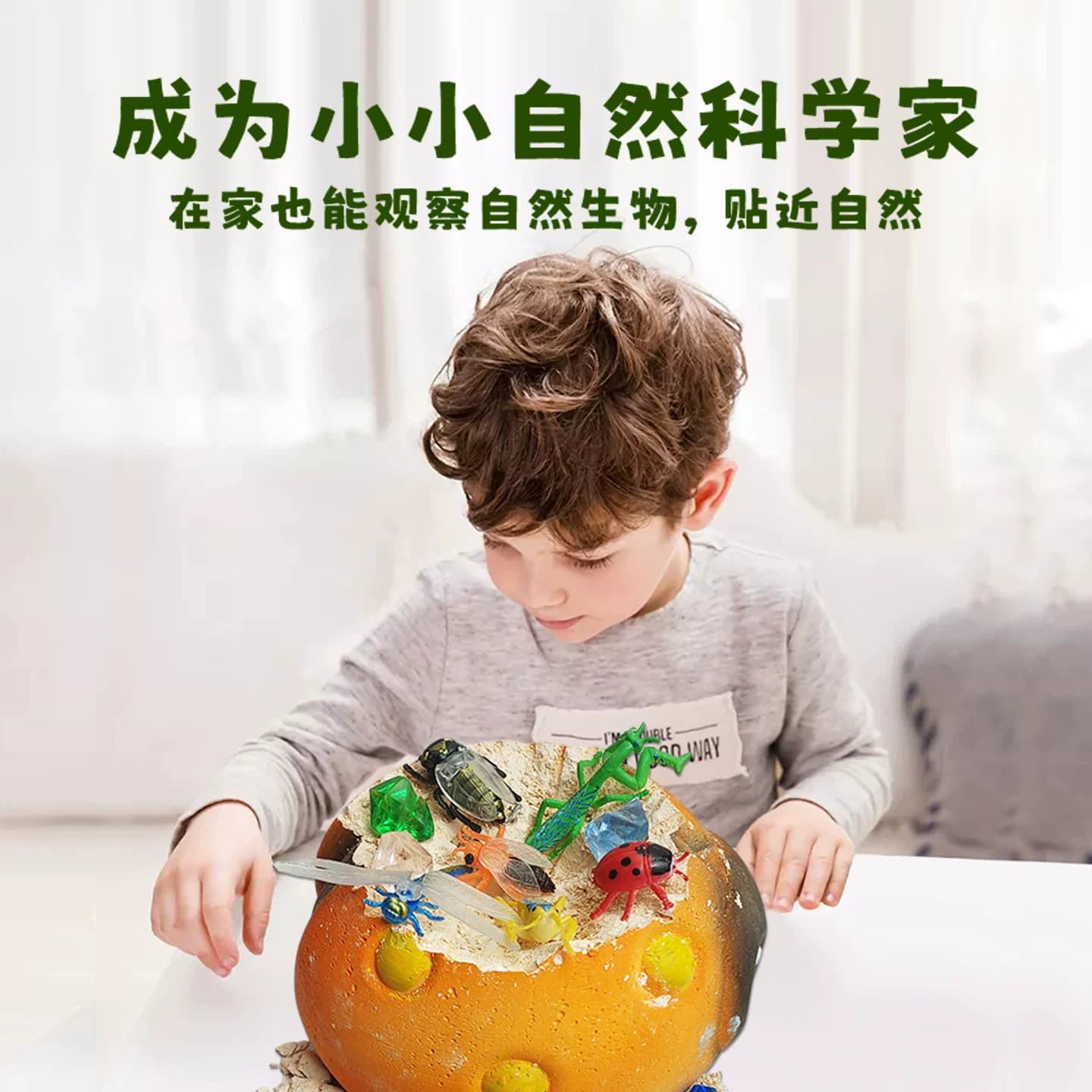 昆虫精灵儿童考古挖掘盲盒玩具男女孩寻宝石化石DIY手工玩具礼物 - 缩略图4