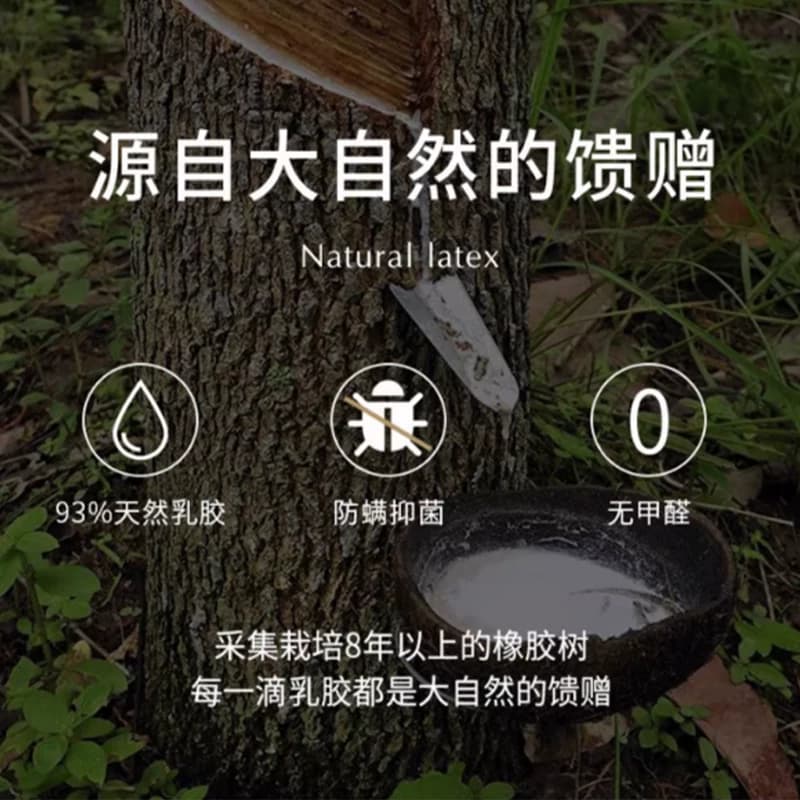 泰国乳胶枕头蝶形Napattiga娜帕蒂卡美容防螨抑菌成人天然橡胶枕 - 缩略图4