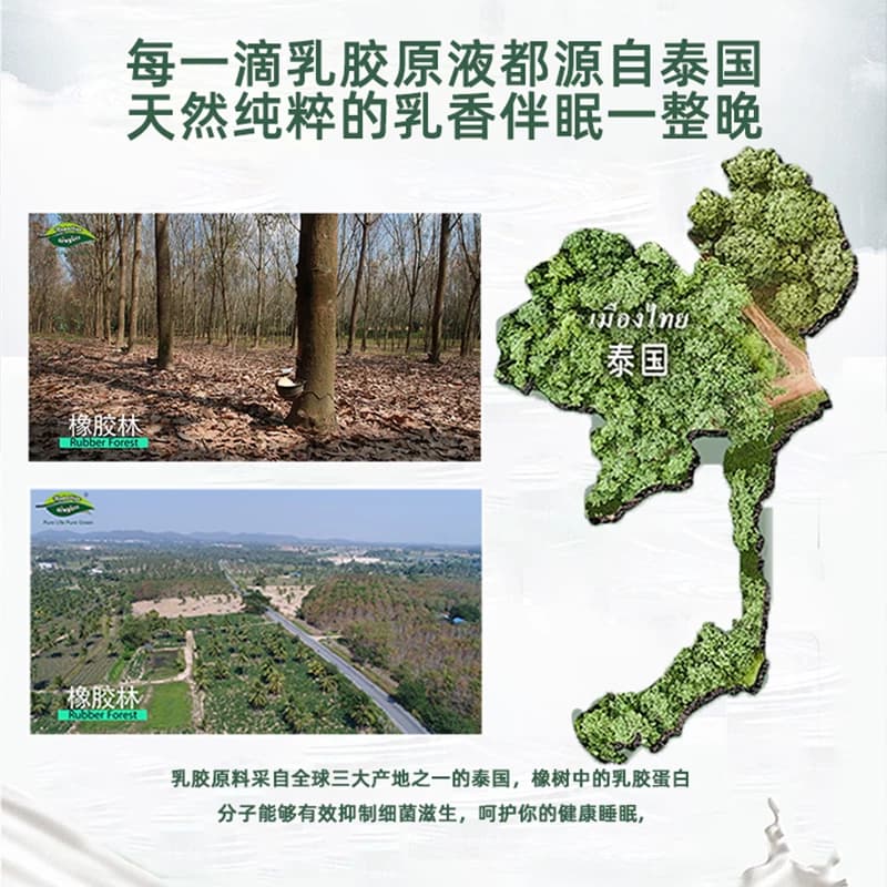 Napattiga泰国乳胶枕原装进口乳胶枕女士偏中低护颈枕学生青少年 - 缩略图3
