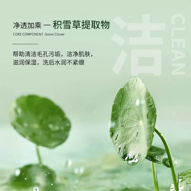 【拍1发2】韩纪积雪草氨基酸洗面奶官方正品保湿清透洁颜泥BLH - 缩略图5