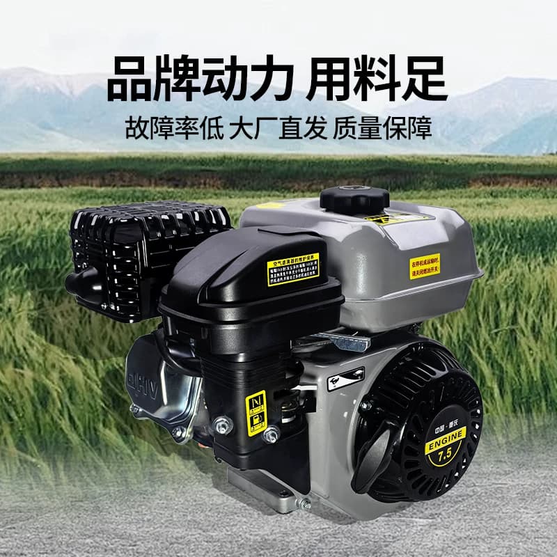 170汽油机190F小型内燃四冲程微机耕膨化机抽水抹光机196F发动机 - 缩略图2