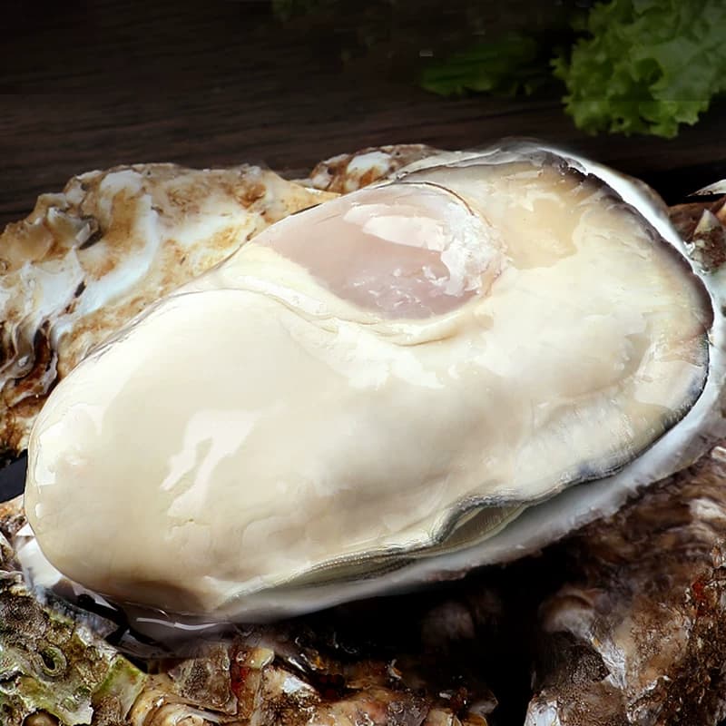 乳山生蚝鲜活特大10斤海蛎子烧烤生蚝鲜活批发生鲜牡蛎官方旗舰店 - 缩略图5