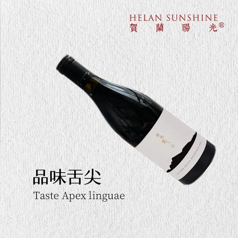 【宁夏红酒】贺兰山东麓山海干红葡萄酒750ml*6送开瓶器礼盒+醒杯 - 缩略图5