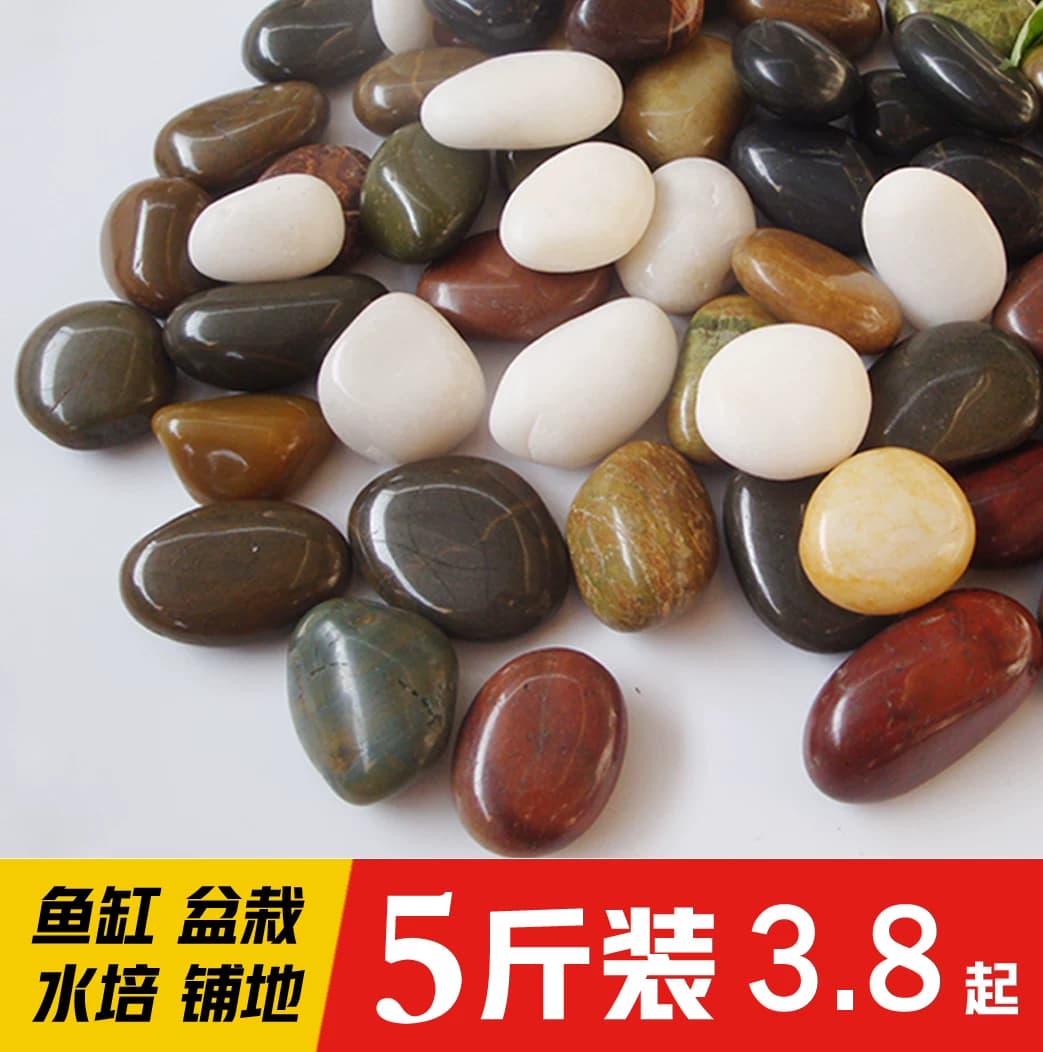 鹅卵石雨花石小石子天然原石鱼缸花盆鹅软石庭院装饰园艺五彩石头 - 缩略图5