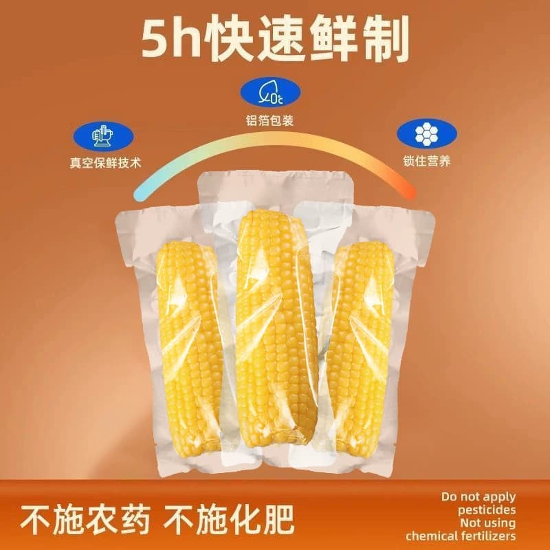 东北黄糯玉米当季粗粮主食软糯黄低脂轻食代餐真空健康生鲜香甜 - 缩略图5