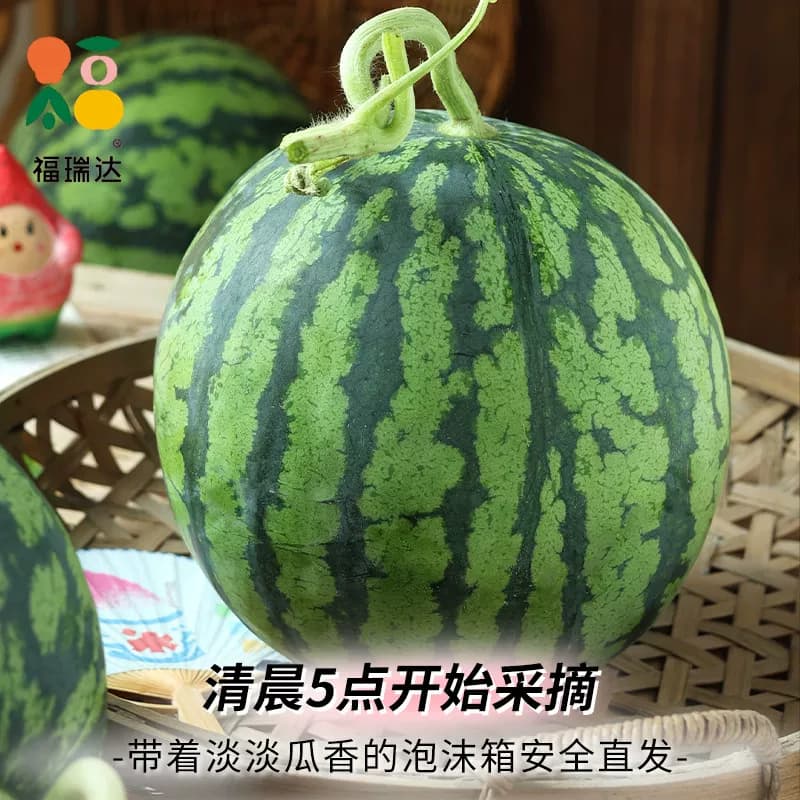 新鲜麒麟西瓜水果当季现摘8424美都有籽薄皮冰淇淋大西瓜脆甜整箱 - 缩略图5