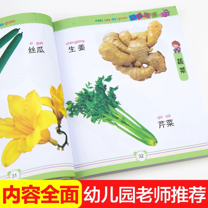 认物大全 宝宝看图识物绘本儿童早教启蒙认知书0-1-2-3岁婴幼儿认识动物水果蔬菜幼儿益智图书适合一周岁两三岁婴儿看的书识字读物 - 缩略图3