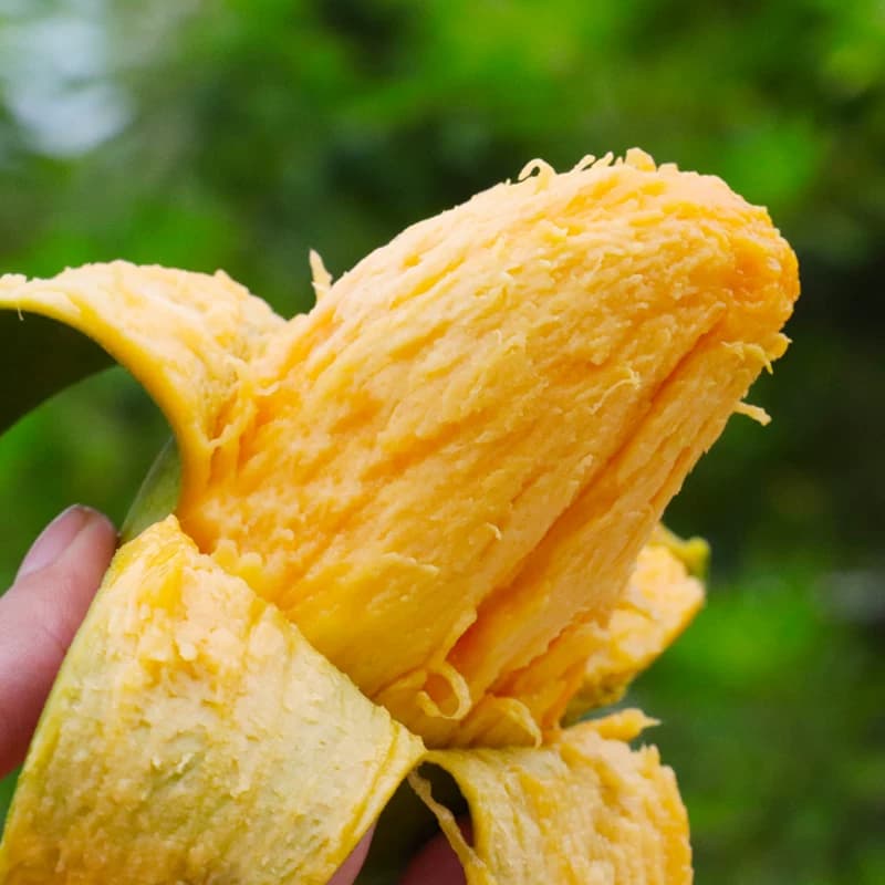 正宗广西百色桂七芒果新鲜当季水果现摘青皮整箱包邮大芒果国货 - 缩略图3