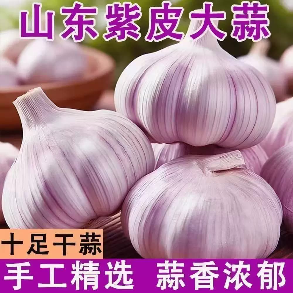 山东金乡原产地直发大蒜当季大蒜头干货炒菜调味辛辣味浓郁 - 缩略图2