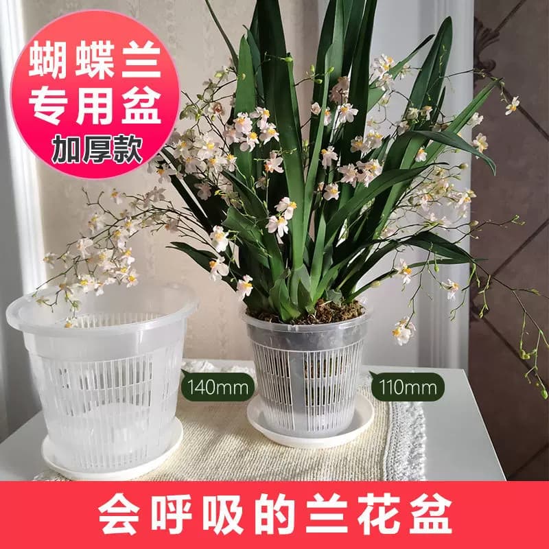 控根盆兰花专用盆透气控水防烂蝴蝶兰地面盆绿植盆桌面花卉盆园艺 - 缩略图2