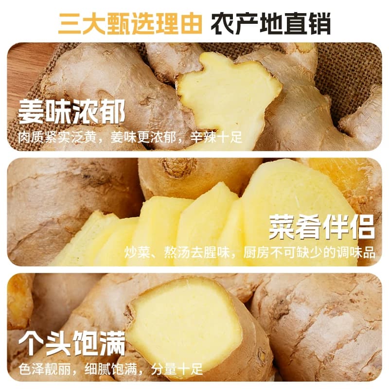 山东大姜优质生姜老姜新鲜大黄姜精品块老生姜老黄姜包邮食用姜汁 - 缩略图4