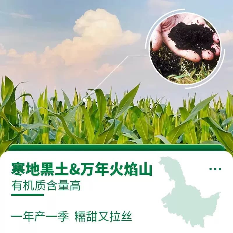 【芭芭农场兑换专享】黑白糯玉米组合4根单个220g+建议蒸煮真空装 - 缩略图3