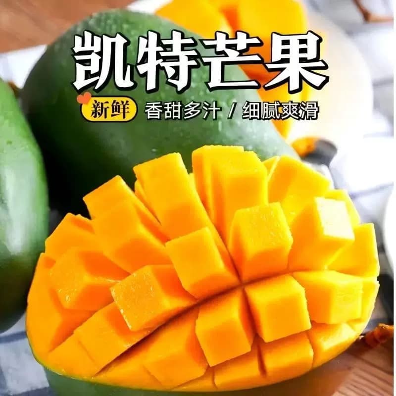 当季正宗凯特大芒果超甜大果新鲜凯特芒果整箱青皮大脸芒香甜多汁 - 缩略图2