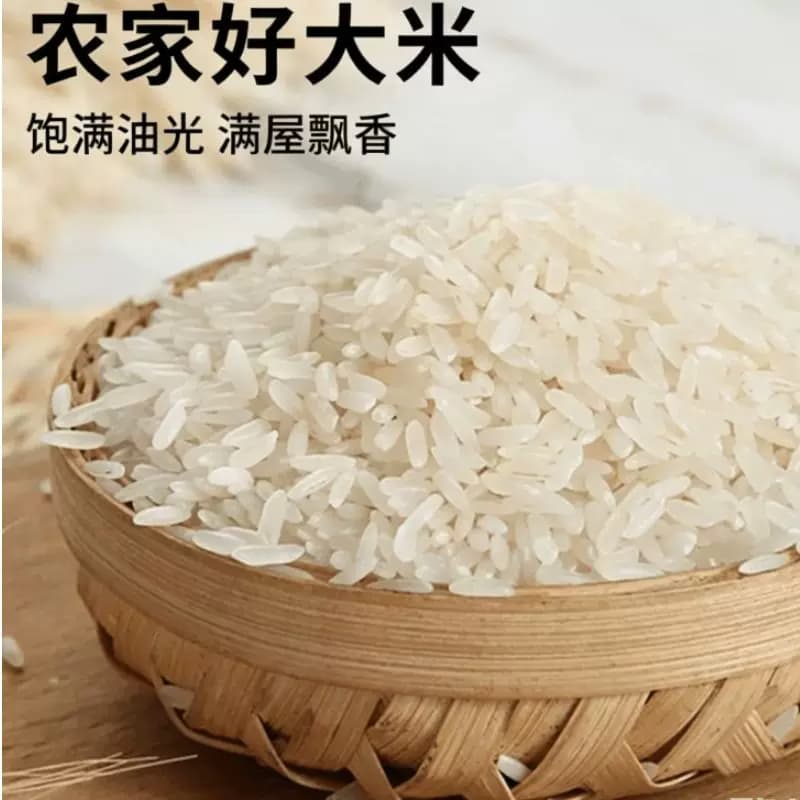 东坡大米长粒米产地直发新大米一年一季5斤煮粥蒸饭香当季真空 - 缩略图4