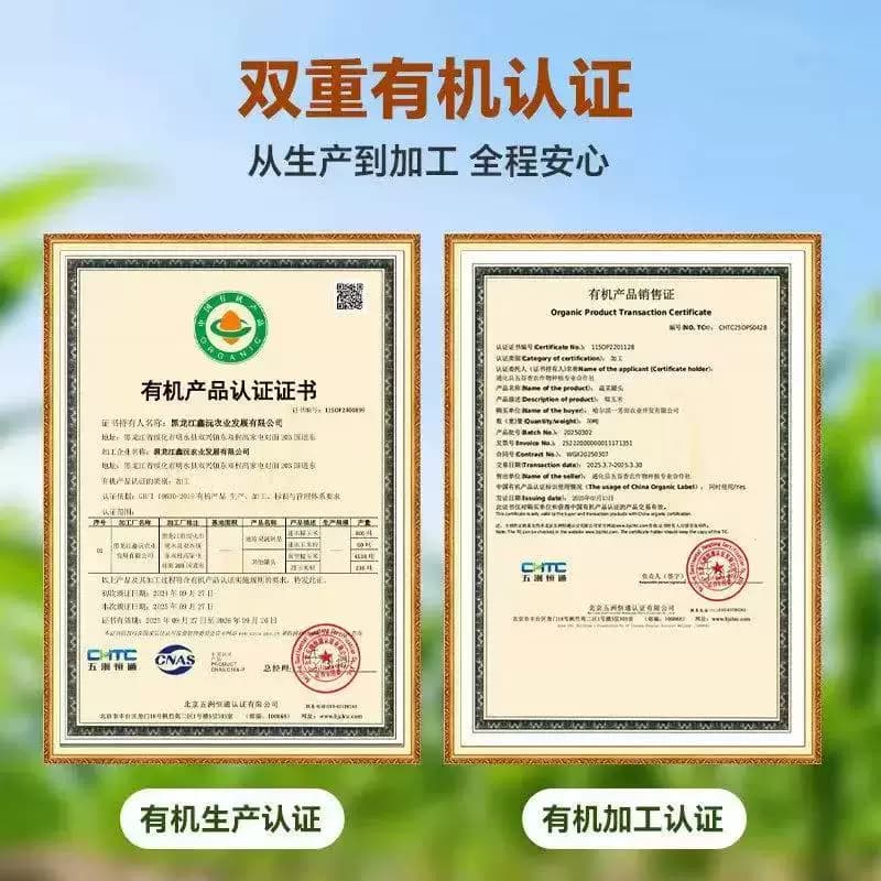 东北有机黄糯玉米新鲜粘糯黄玉米棒主食农场香甜当季整箱黄金真空 - 缩略图4