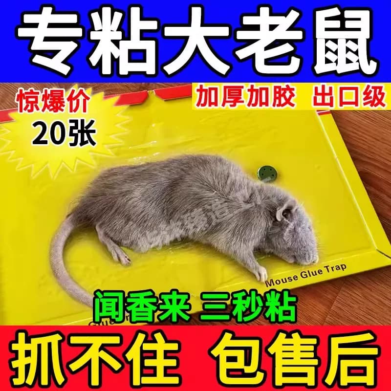老鼠粘强力粘鼠板捕鼠神器强力胶粘大老鼠贴一窝端超强厨房家用贴 - 缩略图4
