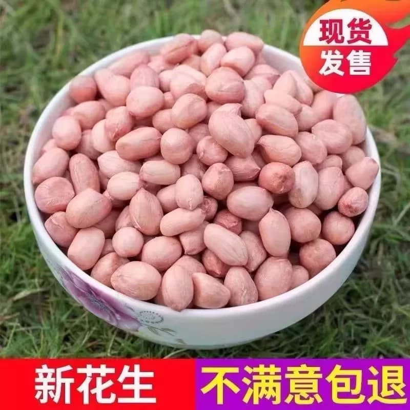 白沙花生米2025年河南小白沙农家新花生干花生新鲜花生仁散装新货 - 缩略图4