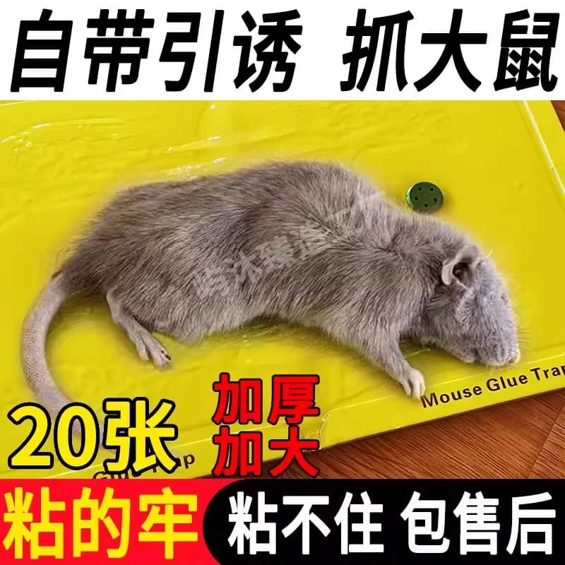 老鼠粘强力粘鼠板捕鼠神器强力胶粘大老鼠贴一窝端超强厨房家用贴 - 缩略图2
