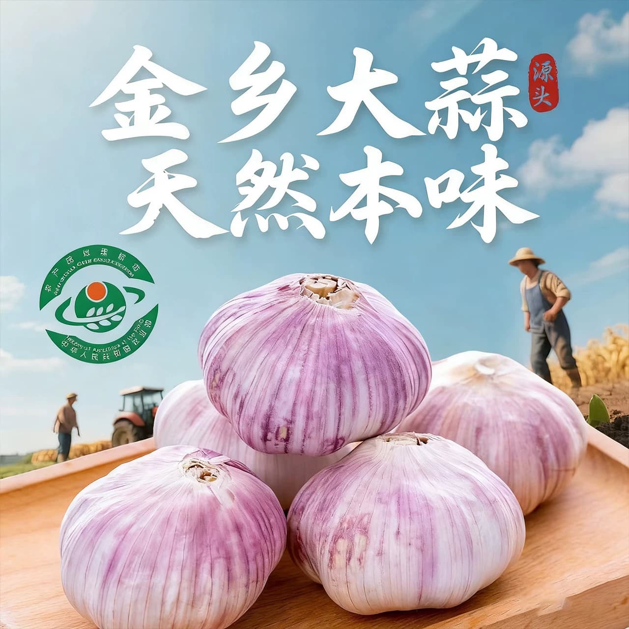 山东新干蒜12359斤批发金乡大蒜紫皮大蒜白皮大蒜头包邮自提新鲜 - 缩略图3