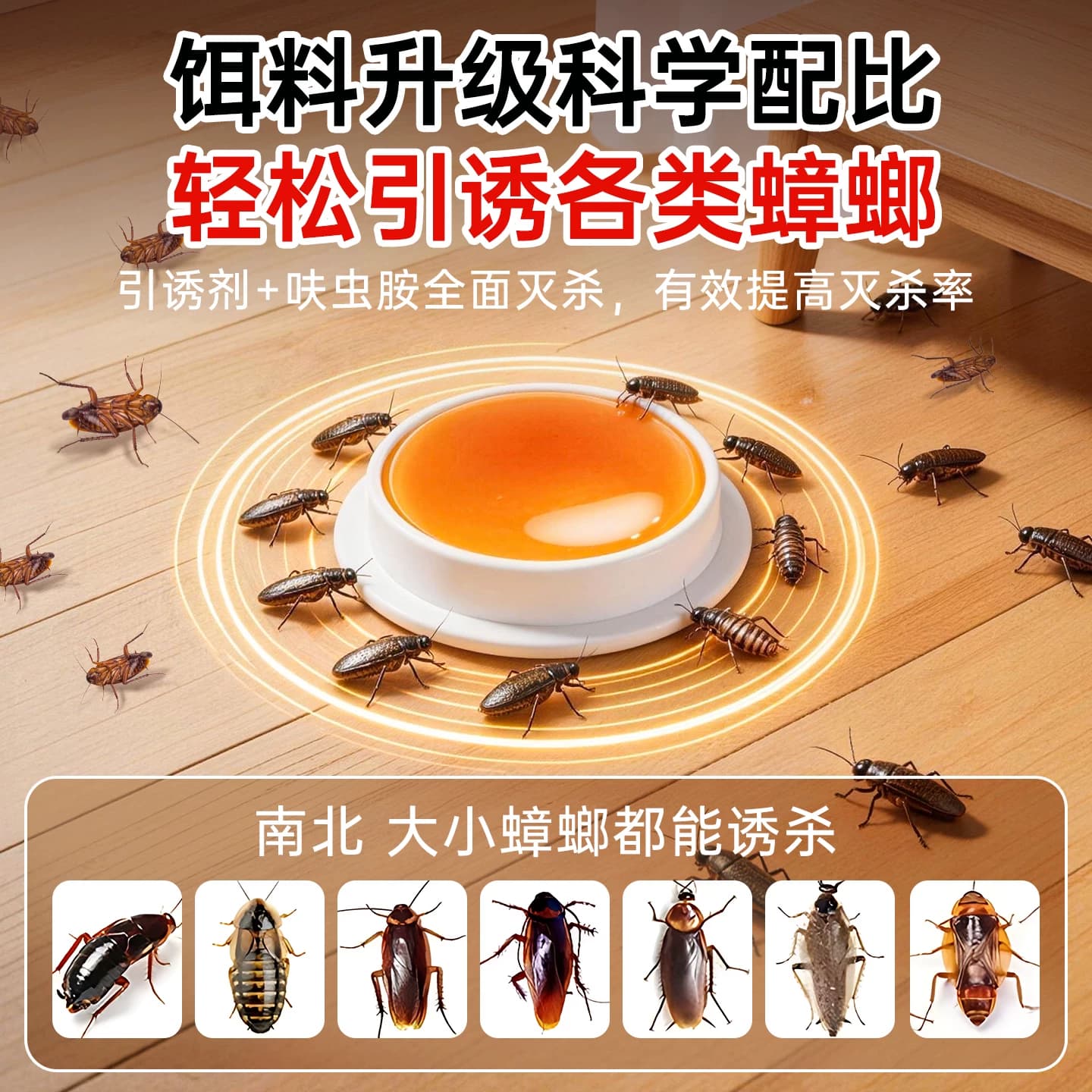 蟑螂药无毒家用全窝端强效室内贴墙虫卵双杀蟑螂胶饵正品神器灭蟑 - 缩略图5