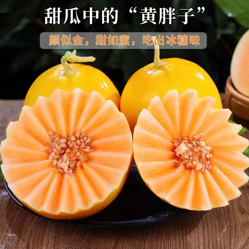 甘肃民勤黄河蜜瓜4-5斤甜瓜水果新鲜当季整箱沙漠黄金哈密瓜 - 缩略图3