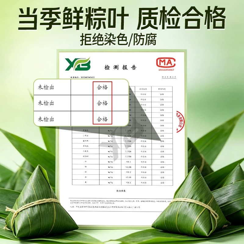 端午节包粽子专用粽叶粽子叶新鲜特大号鲜棕叶粽叶官方旗舰店批发 - 缩略图4