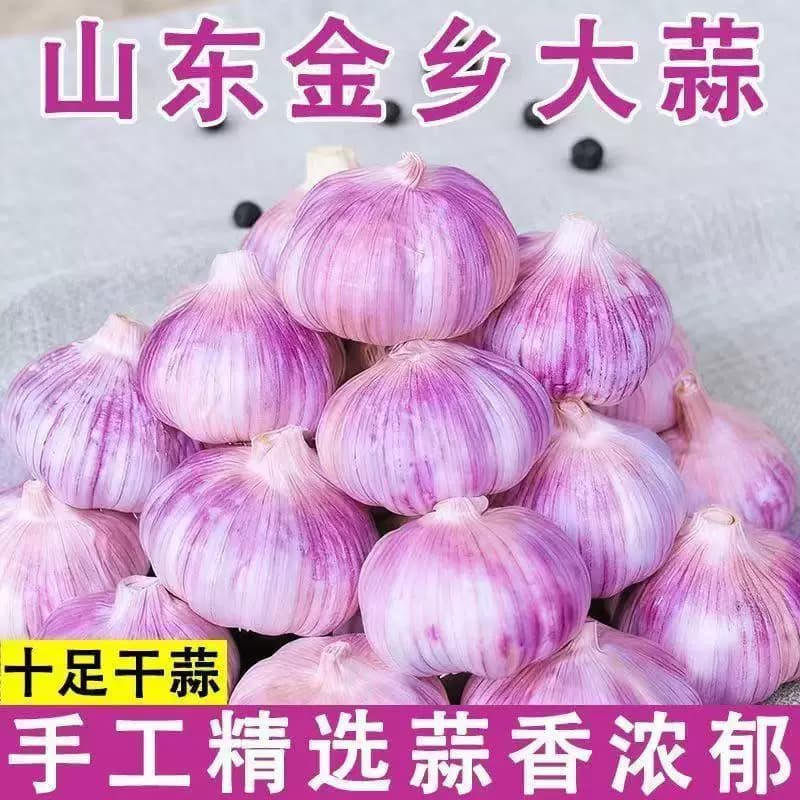 山东金乡原产地直发大蒜当季大蒜头干货炒菜调味辛辣味浓郁 - 缩略图3
