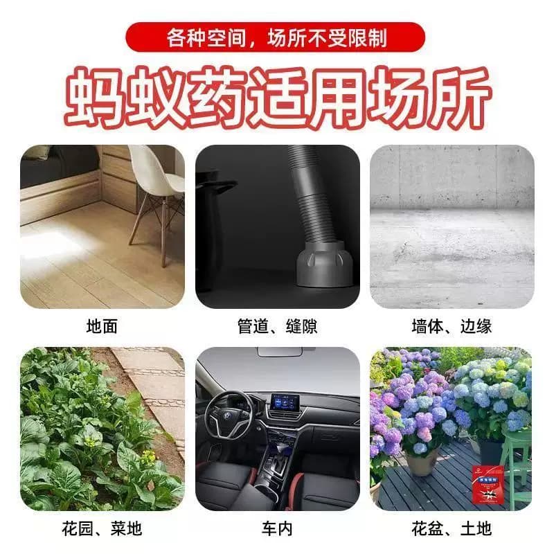 蚂蚁药家用一窝全窝端杀蚁饵剂厨房菜地驱大小红黄黑蚂蚁除虫粉剂 - 缩略图3
