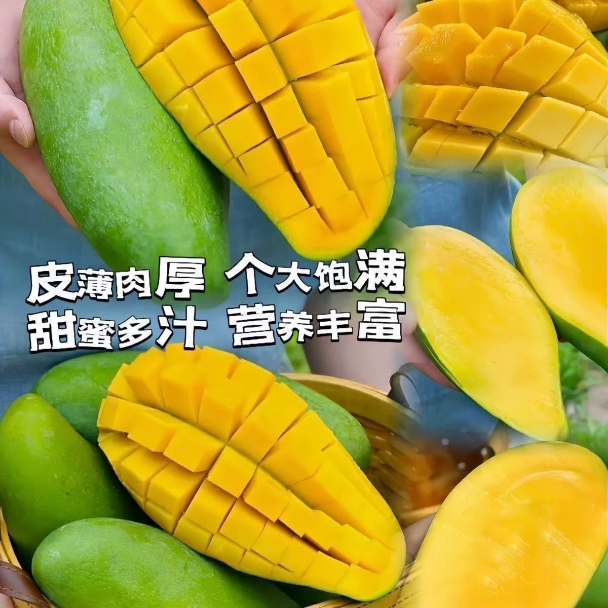 当季新鲜青皮金煌芒果现摘玉芒多汁多甜美味大个整箱芒果热带水果 - 缩略图3