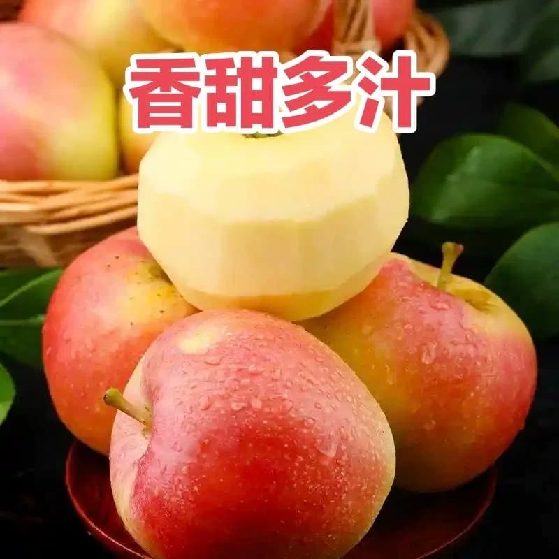 芭芭农场兑换陕西嘎啦苹果2.5斤装单果65mm多汁新鲜自提脆甜种植 - 缩略图3