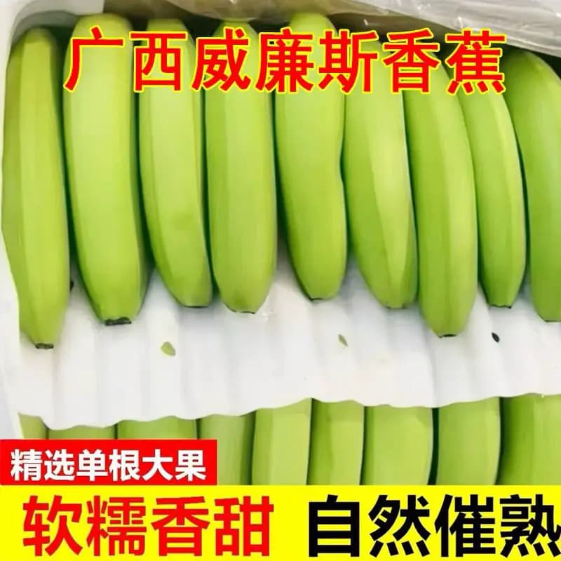 [催熟食用]正宗广西高山甜香蕉威尼斯绿皮软糯香甜自然熟新鲜水果 - 缩略图3
