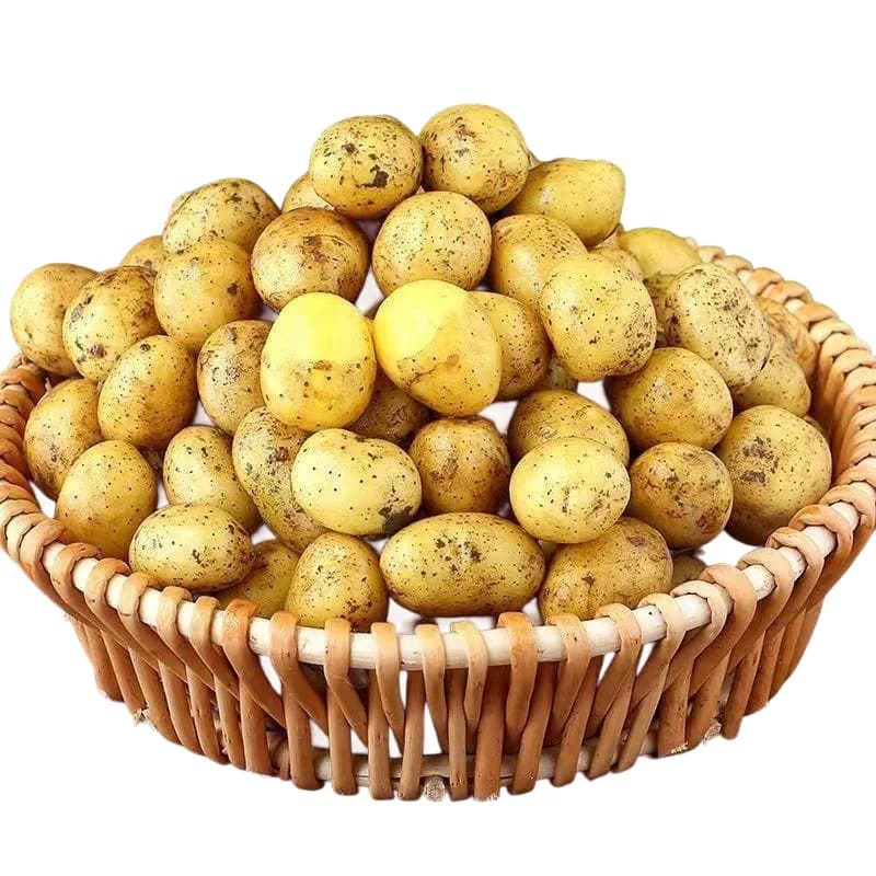 黄皮小土豆新鲜马铃薯正宗黄心薄皮土豆洋芋现挖蔬菜5香老品种 - 缩略图5