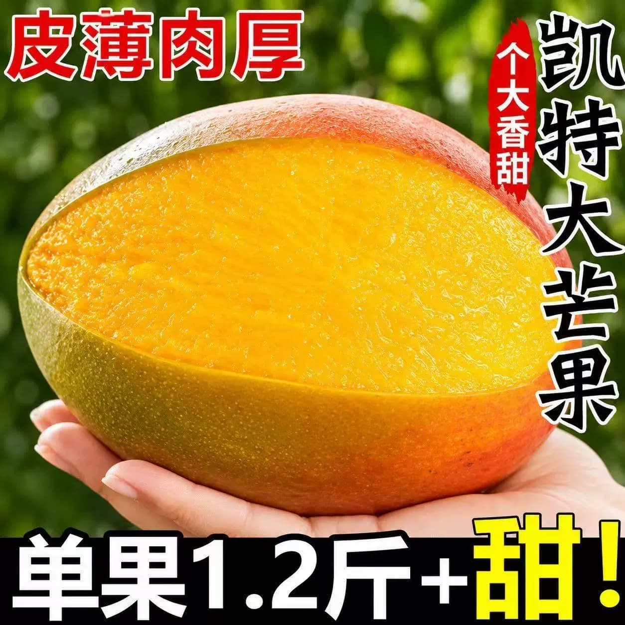 四川攀枝花凯特芒果新鲜采应季斤水果芒果整箱包邮特大青忙果当季 - 缩略图5