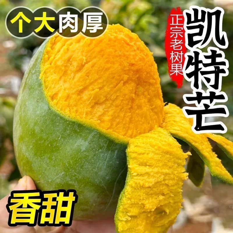 攀枝花凯特芒果9斤新鲜甜心芒当季水果现摘青皮芒特大果整箱包邮 - 缩略图3
