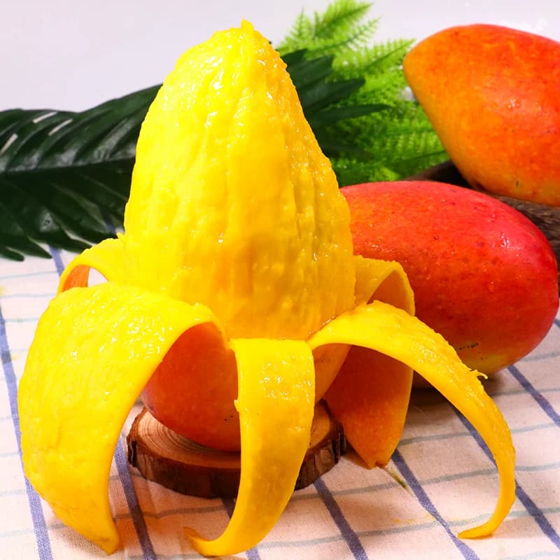 海南贵妃芒新鲜芒果3/5/9斤应当季水果树上熟红金龙整箱好吃的 - 缩略图3