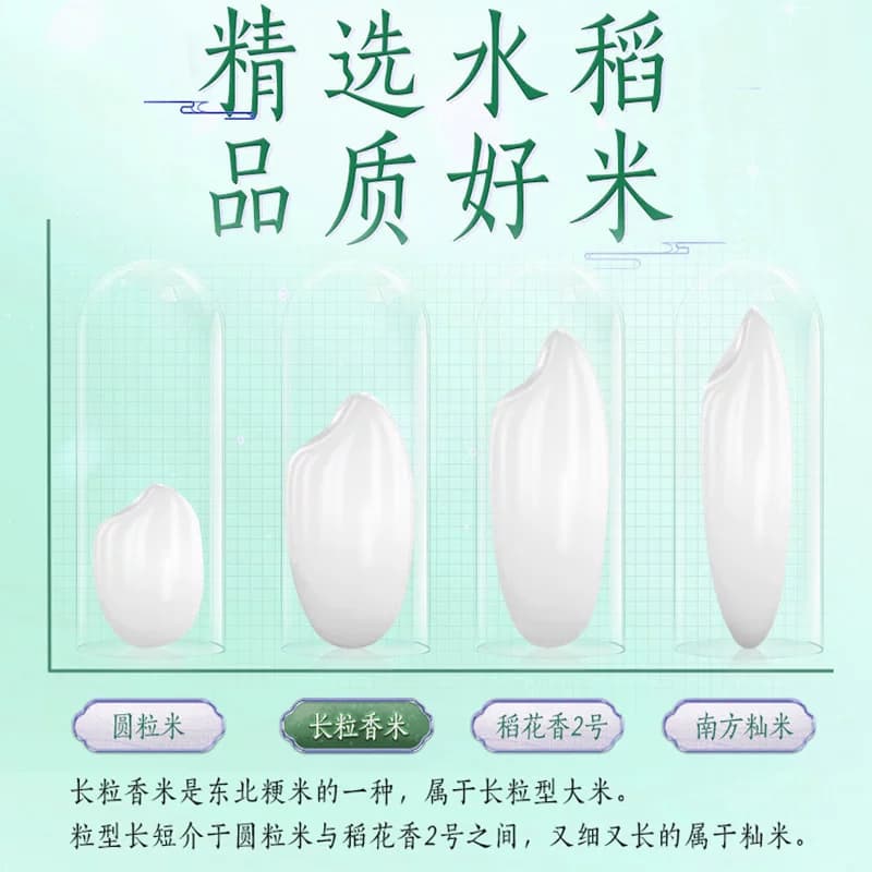 金龙鱼乳玉皇妃长香思贡米5kg*2袋整箱装 东北大米长粒香 - 缩略图5
