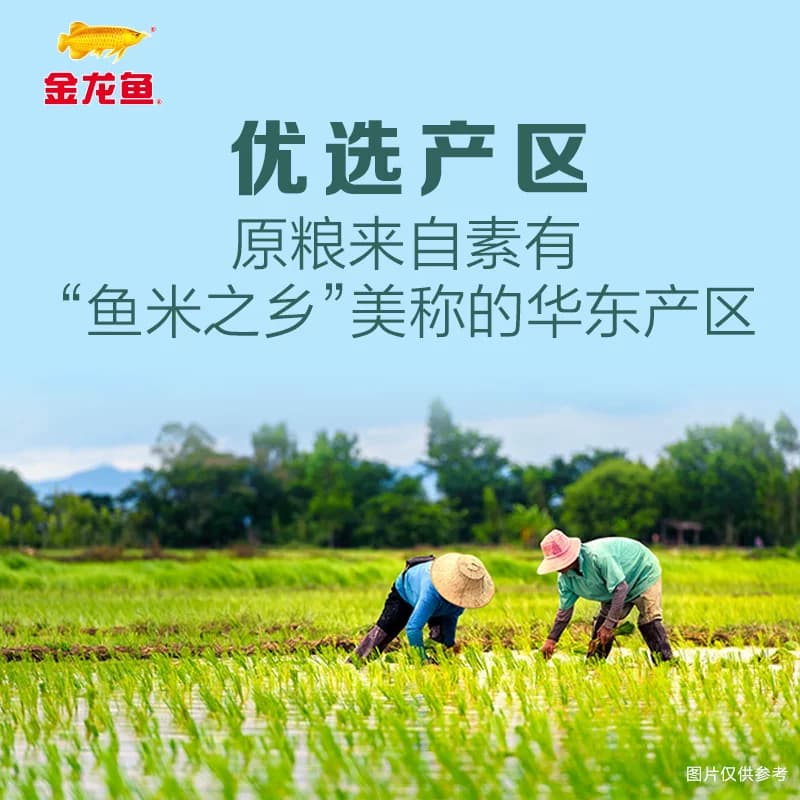 下拉享特价 金龙鱼臻选软香稻5KG*4袋整箱装 苏北大米 - 缩略图3