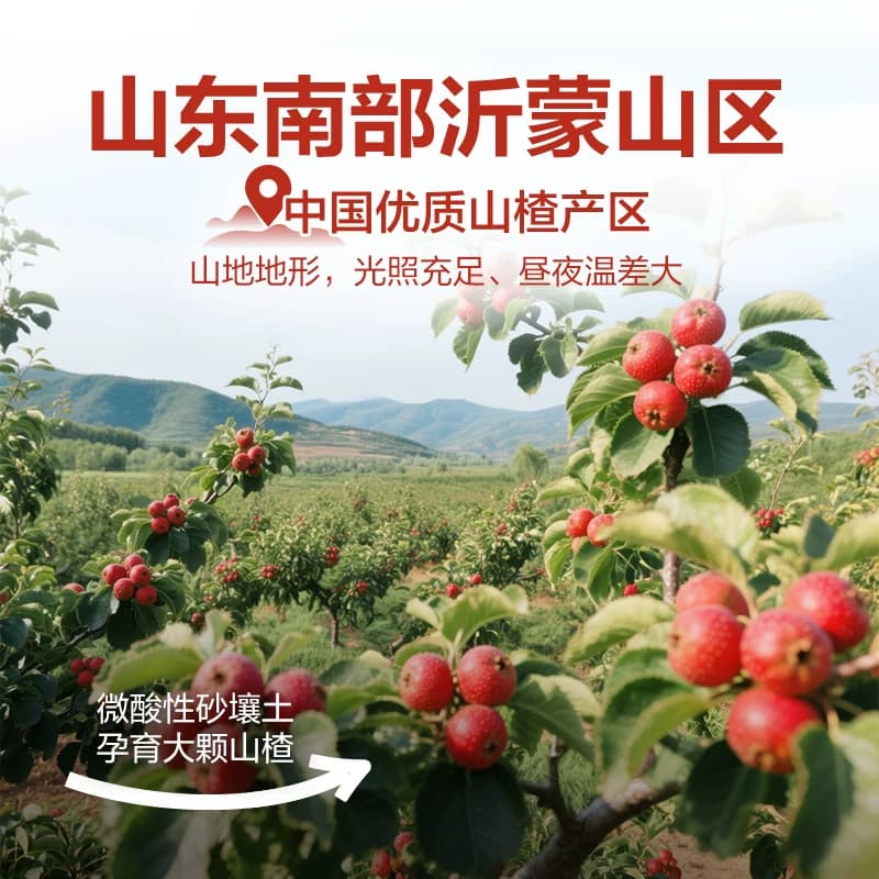 良品铺子山楂片儿童年货小零食散装怀旧开胃零食山楂类制品 - 缩略图2