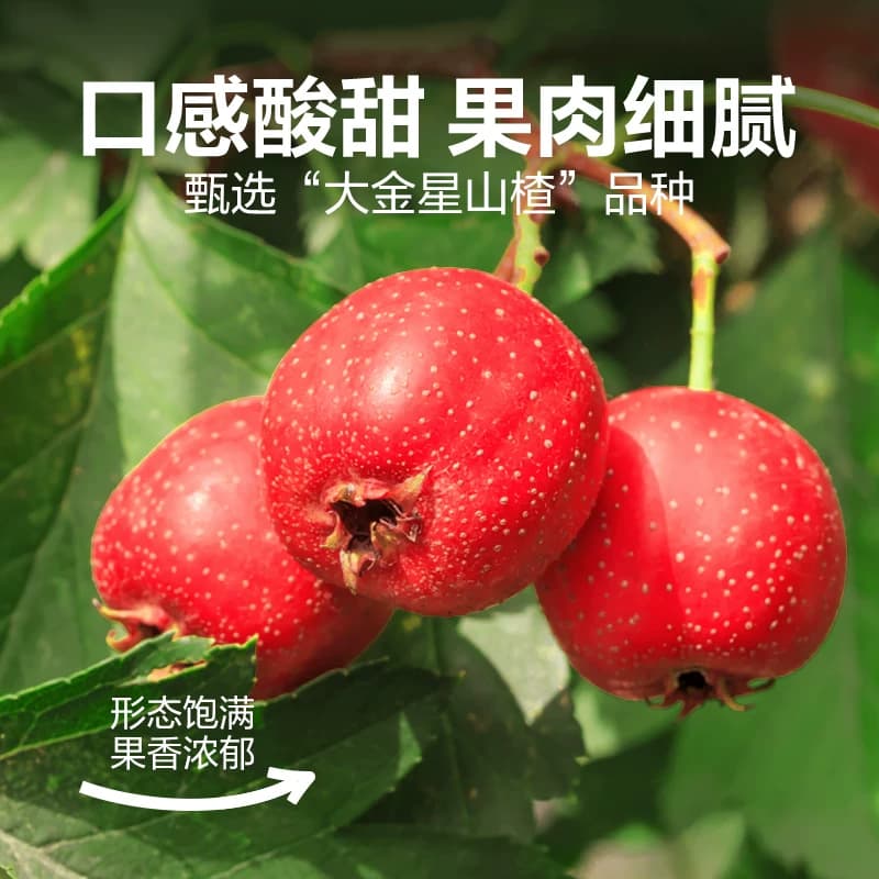 良品铺子山楂片儿童年货小零食散装怀旧开胃零食山楂类制品 - 缩略图4