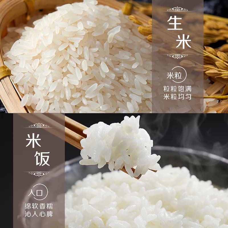 金龙鱼乳玉皇妃长香思贡米5kg*2袋整箱装 东北大米长粒香 - 缩略图4