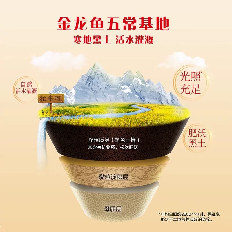 金龙鱼五常大米5kg*2袋粒粒凝香 东北大米 - 缩略图3