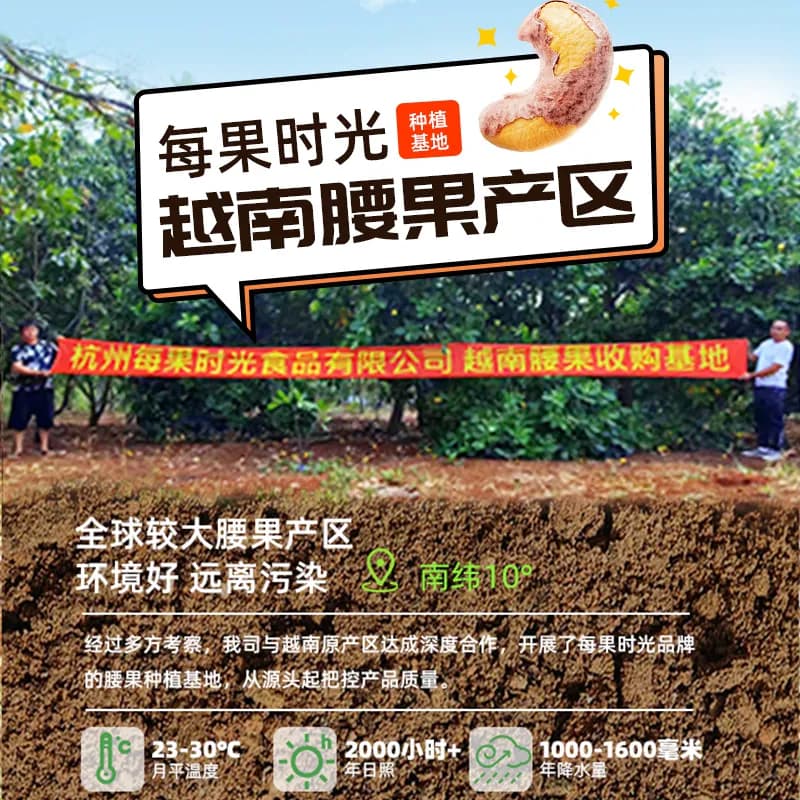 每果时光新货紫皮大腰果仁罐装原味盐焗带皮越南干果坚果炒货零食 - 缩略图4