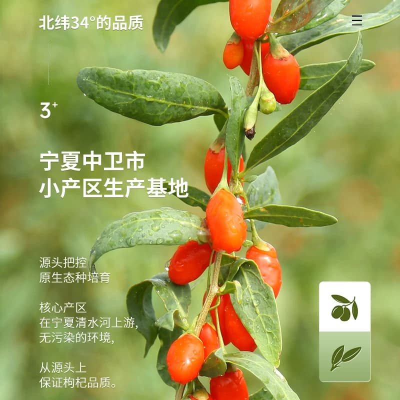宁安堡宁夏枸杞子正宗特级中宁红枸杞泡茶滋补独立小包装正品 - 缩略图4