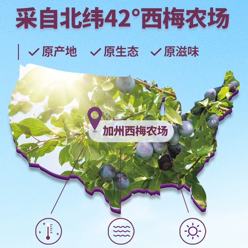 溜溜梅加州大西梅干高纤休闲零食独立包装青梅话梅酸口感醇润 - 缩略图5