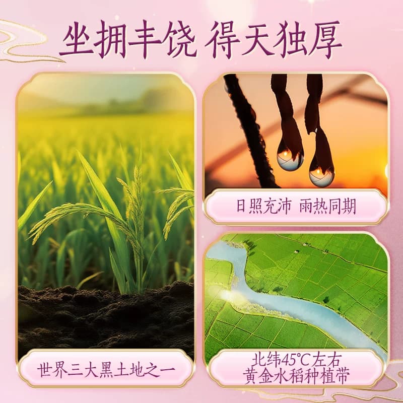下拉享特价 金龙鱼乳玉皇妃方正长粒香大米5kg*2袋整箱装 - 缩略图3