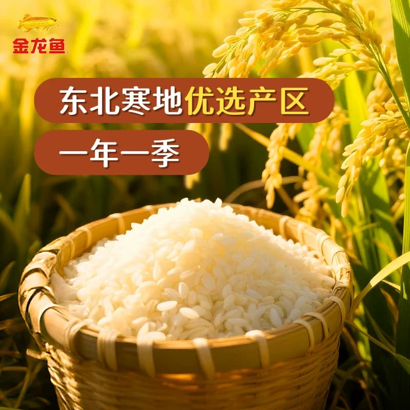 金龙鱼东北大米长粒香10kg 清香型爽口 - 缩略图2