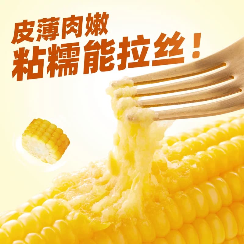 十月稻田黄糯玉米东北粘苞米杂粮粗粮低脂早餐可微波 - 缩略图4