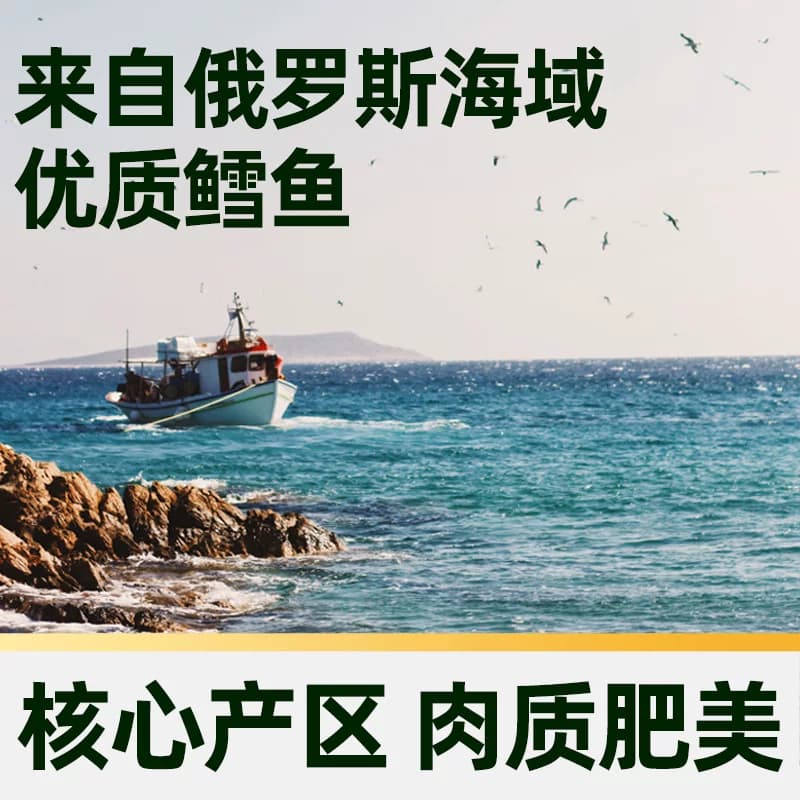 猫超臻选烤鳕鱼片40g休闲小零食高蛋白低脂即食海味 - 缩略图4
